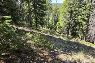 840 Forest Service Rd 890, White Pine, CO 81248 - Photo 16