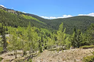840 Forest Service Rd 890, White Pine, CO 81248 - Photo 8