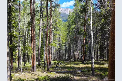 840 Forest Service Road 890, White Pine, CO 81248 - Photo 6