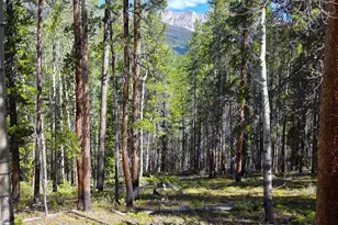 840 Forest Service Rd 890, White Pine, CO 81248 - Photo 6