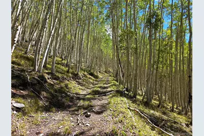 840 Forest Service Road 890, White Pine, CO 81248 - Photo 12
