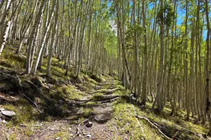 840 Forest Service Rd 890, White Pine, CO 81248 - Photo 12