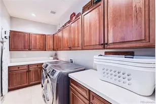 9108 Viaggio Way, Highlands Ranch, CO 80126 - Photo 26