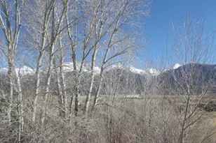 531 Hazelwood Trail, Crestone, CO 81131 - Photo 1