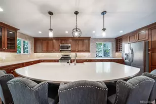 11217 Vilas St, Parker, CO 80134 - Photo 12