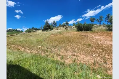 4251 Mohawk Drive, Larkspur, CO 80118 - Photo 6