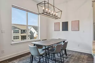 264 Kitselman Dr, Castle Rock, CO 80104 - Photo 14