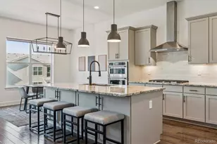 264 Kitselman Dr, Castle Rock, CO 80104 - Photo 10