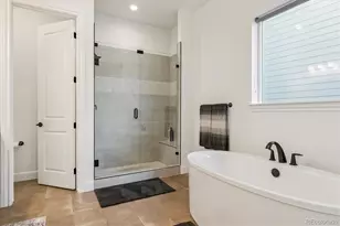 264 Kitselman Dr, Castle Rock, CO 80104 - Photo 22