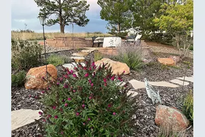 6987 Ashley Court, Parker, CO 80134 - Photo 42