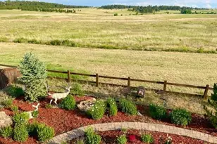 1364 Sumac Ave, Elizabeth, CO 80107 - Photo 34