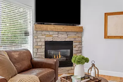 4718 Rock Pipit Court, Littleton, CO 80126 - Photo 18