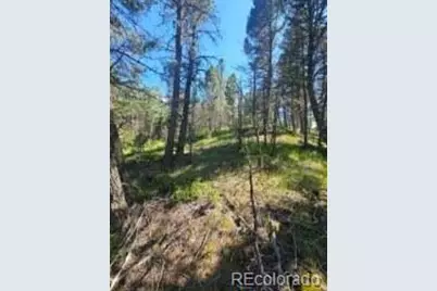 1164 Arapahoe Creek Trail, Florissant, CO 80816 - Photo 18
