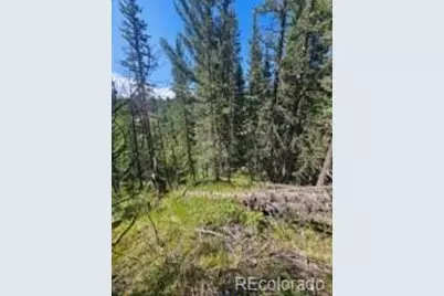 1164 Arapahoe Creek Trail, Florissant, CO 80816 - Photo 28