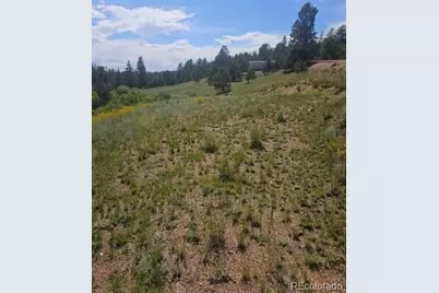 1164 Arapahoe Creek Trail, Florissant, CO 80816 - Photo 12