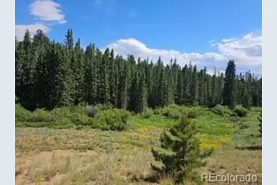 1164 Arapahoe Creek Trail, Florissant, CO 80816 - Photo 1