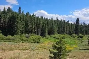 1164 Arapahoe Creek Trail, Florissant, CO 80816 - Photo 1