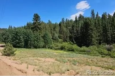 1164 Arapahoe Creek Trail, Florissant, CO 80816 - Photo 4