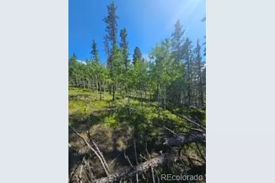1164 Arapahoe Creek Trail, Florissant, CO 80816 - Photo 22