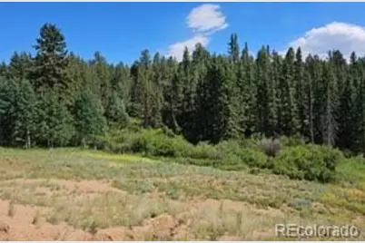 1164 Arapahoe Creek Trail, Florissant, CO 80816 - Photo 2