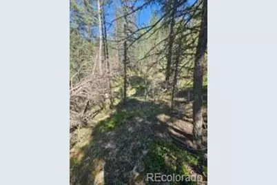 1164 Arapahoe Creek Trail, Florissant, CO 80816 - Photo 14