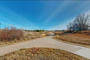 9195 Sugarstone Cir, Highlands Ranch, CO 80130 - Photo 36