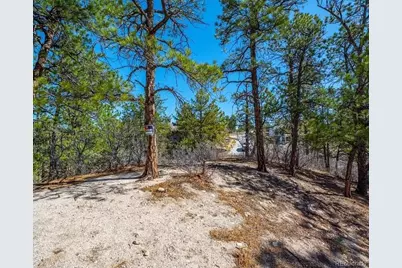 655 Ruby Trust Drive, Castle Rock, CO 80108 - Photo 22