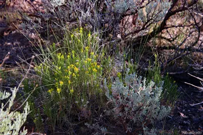 Parcel 5 N Canyon Road, San Luis, CO 81152 - Photo 16