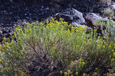 Parcel 5 N Canyon Road, San Luis, CO 81152 - Photo 10