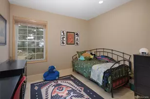263 Barrows Ranch Rd, Evergreen, CO 80439 - Photo 32