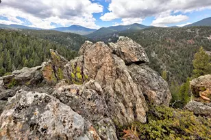 263 Barrows Ranch Rd, Evergreen, CO 80439 - Photo 34