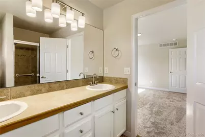 654 Foxtail Way, Windsor, CO 80550 - Photo 16
