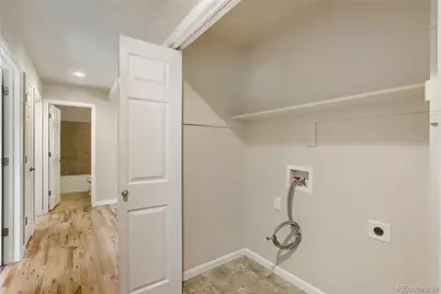 654 Foxtail Way, Windsor, CO 80550 - Photo 20
