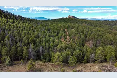 Tbd Cathedral Trail, Conifer, CO 80433 - Photo 8