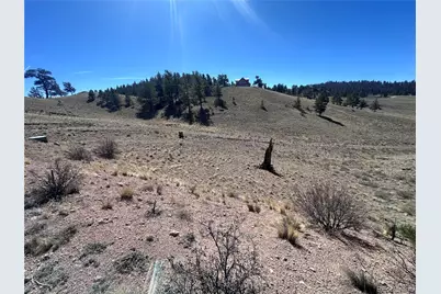 260 Saddle Trail, Hartsel, CO 80449 - Photo 14