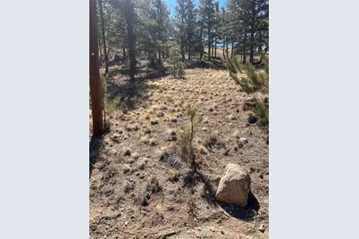 260 Saddle Trail, Hartsel, CO 80449 - Photo 14