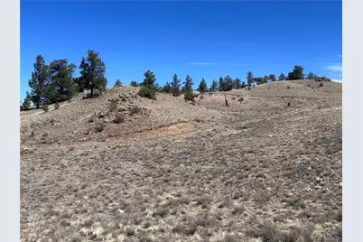 260 Saddle Trail, Hartsel, CO 80449 - Photo 10