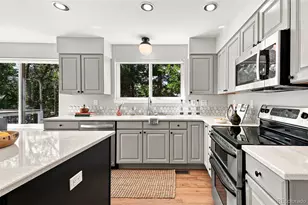 9815 Spring Hill St, Highlands Ranch, CO 80129 - Photo 22