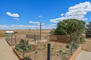 13424 Alex Pl, Carr, CO 80612 - Photo 36