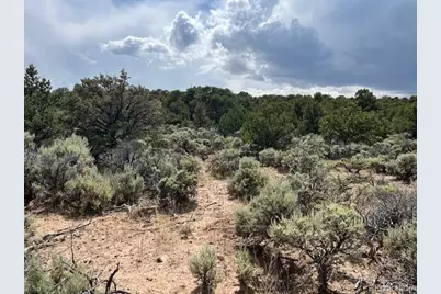 Lot 15 Deer Park Trail, San Luis, CO 81152 - Photo 6
