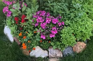 165 Yellowfield Way, Erie, CO 80516 - Photo 34