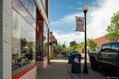 1432 S Washington Street, Denver, CO 80210 - Photo 42