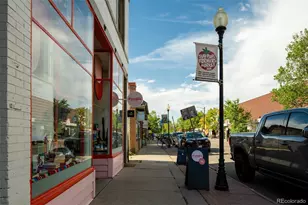 1432 S Washington St, Denver, CO 80210 - Photo 42