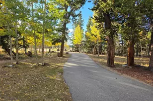 622 Foxtail Dr, Fairplay, CO 80440 - Photo 26