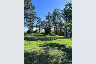 6597 S State Highway 83, Franktown, CO 80116 - Photo 42