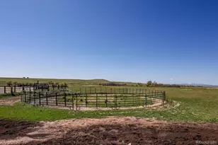 6597 S State Hwy 83, Franktown, CO 80116 - Photo 44