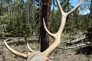 25800 Cr-77, Jefferson, CO 80456 - Photo 20