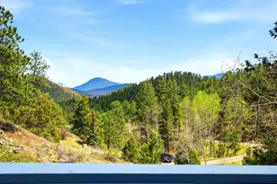 204 Bob Cat Trail, Bailey, CO 80421 - Photo 32