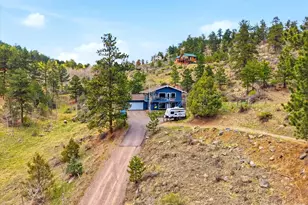 204 Bob Cat Trail, Bailey, CO 80421 - Photo 42