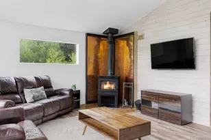 133 Gold Run Rd, Alma, CO 80440 - Photo 4